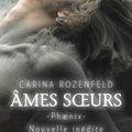 Phaenix, tome 0 : Âmes Soeurs by Carina Rozenfeld