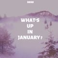 What's up in January ?