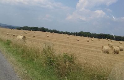 en mode campagne 