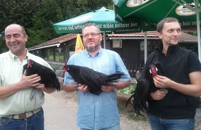 La poule d’Alsace, on peut maintenant la gouter