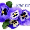 Triste pensée