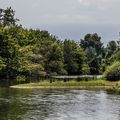 Sous bois O bon faune ! couché dans les fourrés