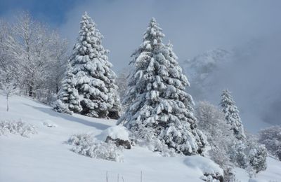 Cabane de Roybon et Vallon de La Fauge (Villard de Lans)