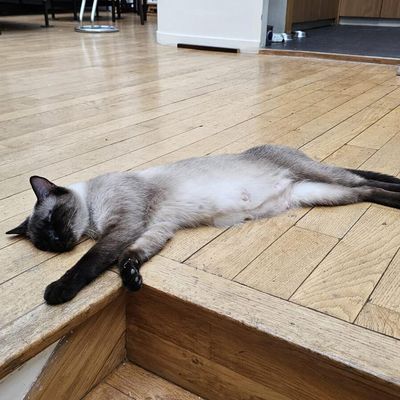 La belle vie de Zoé