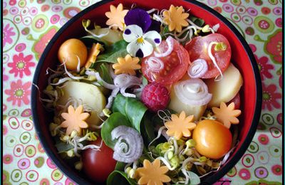 Bento Salade assaisonnement Umami Ponzu