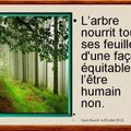 L’arbre nourrit toute ses feuilles d'une façon équitable l’être humain non