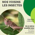 Exposition à la bibliothèque : nos voisins les insectes ...