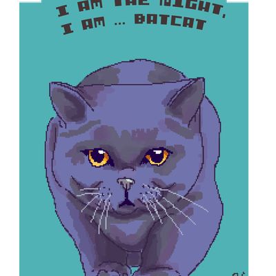 chat en pixel art a partir d'une photo