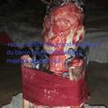 Grand marabout voyant médium marabout africain reconnu Maître DJOGBE SIKA. Ce marabout vous aides à résoudre tous les problèmes 