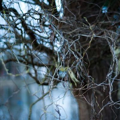 La porte de l'impalpable ...