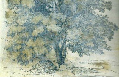 Arbre Carnet de notes et croquis d'edgar Degas 