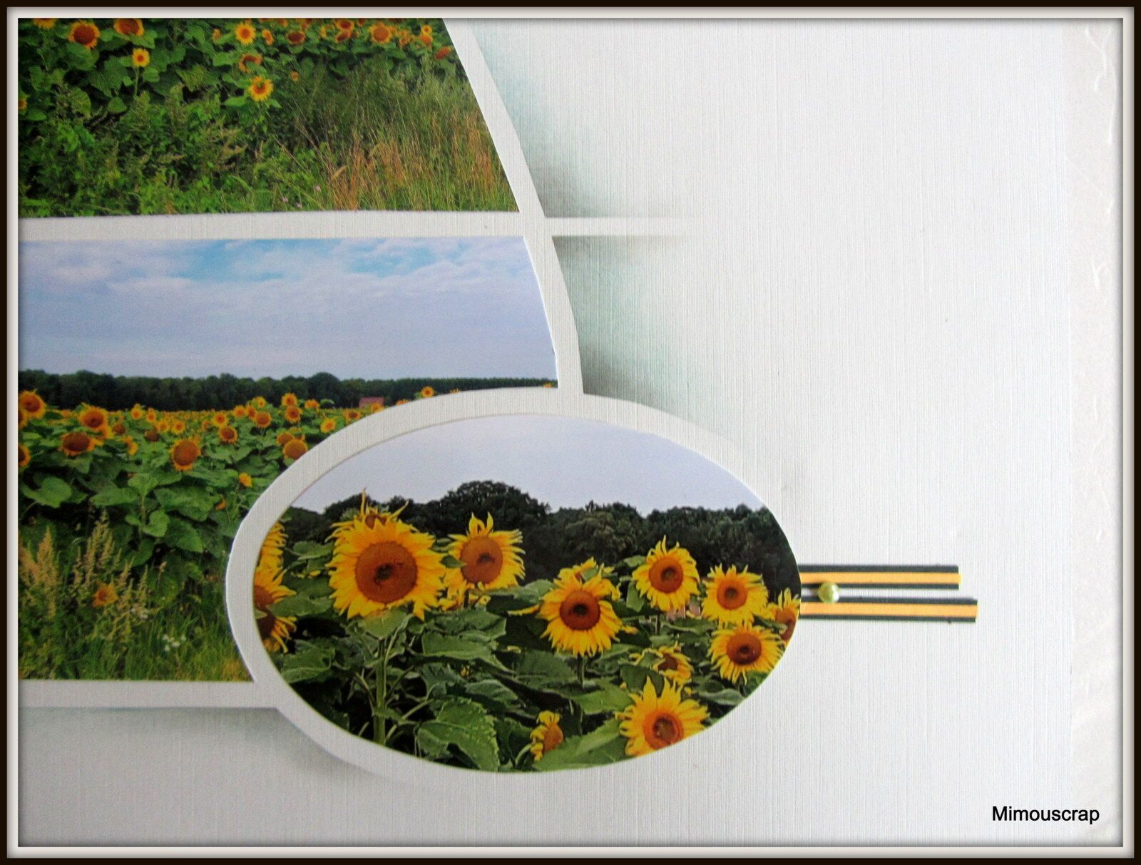 Tournesols 04