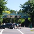 Zoo du Bronx BIS