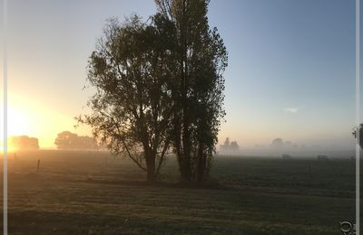 Origine du mot "Vendée"