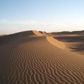 SAHARA Dunes