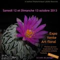 OU ME TROUVER? Expositions 2013