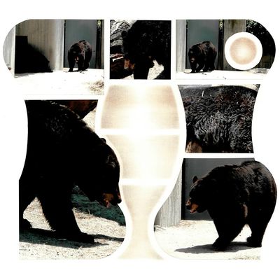 Après les biquettes les ours