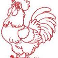séance nostalgie : un coq