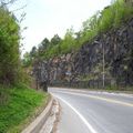 Ma ballade à vélo sur le Mont-Royal et aussi une petite soupe aux bettraves:la botwinka