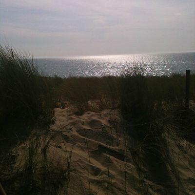 Des nouvelles des expatriés ... une autre vie