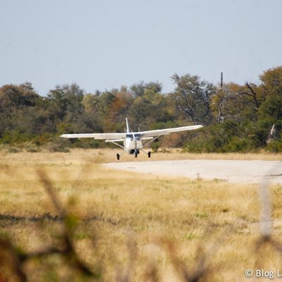 Partez au galop dans l'Okavango