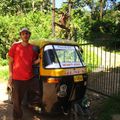 Inde - Les rickshaw
