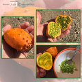 Le kiwano/concombre cornu d'Afrique 