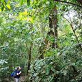 Parc national de la forêt de Taï