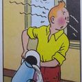 Tintin n'a pas du tout la main verte