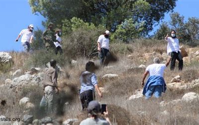 !!ALERTE!!ALERTE!! Après le soulèvement de la résistance de Gaza... celle de Cisjordanie en préparation?