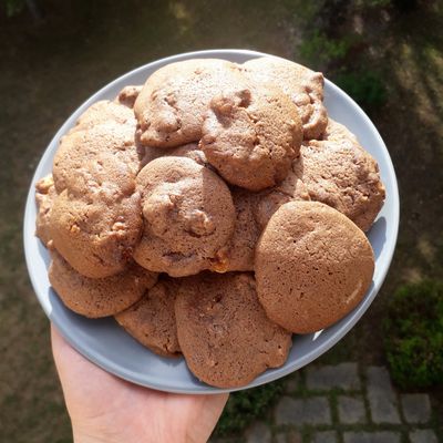 Biscuits moelleux au chocolat et aux barres chocolatées LION