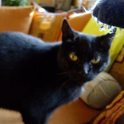 HAPPY HALLOWEEN Vous m'avez reconnue ;) 