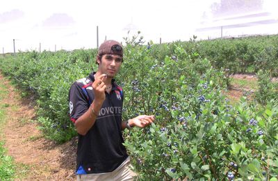 Fin des Blueberries et envol pour le centre rouge