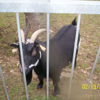 une biquete dont tout le monde veut voir