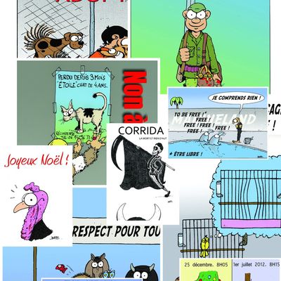 Bonjour tout le monde !! Je vous annonce