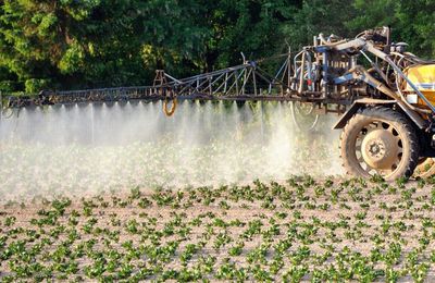 Le cadeau du gouvernement à l’agro-industrie révolte le secteur de l’eau