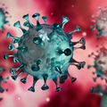 COVID : LE PRESSION HOSPITALIÈRE DEMEURE ÉLEVÉE.
