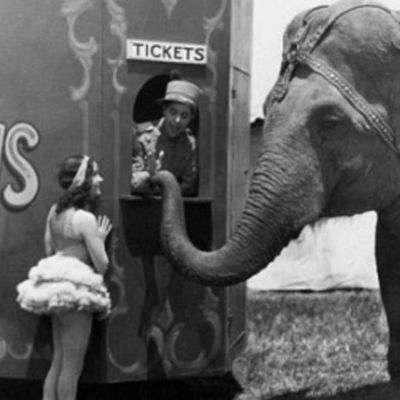 Rain or Shine de Frank Capra - 1930