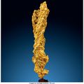 Enormous 'lightning bolt' gold nugget - rarer than any diamond - to bring $100,000 at auction