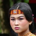 Sulawesi - Pays Toraja