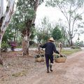 Le travail dans les rizières