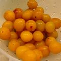 Tarte aux mirabelles