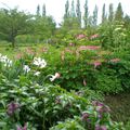 LE JARDIN EN "S" : DEUXIEME ANNEE