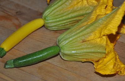 FLEURS DE COURGETTES FARCIES