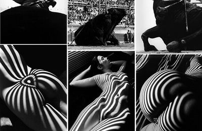 Hommage à Lucien Clergue, photographe