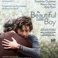 Séance de rattrapage : "My Beautiful Boy" de Felix van Groeningen