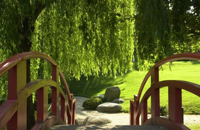 Prairie des filtres et jardin japonais.