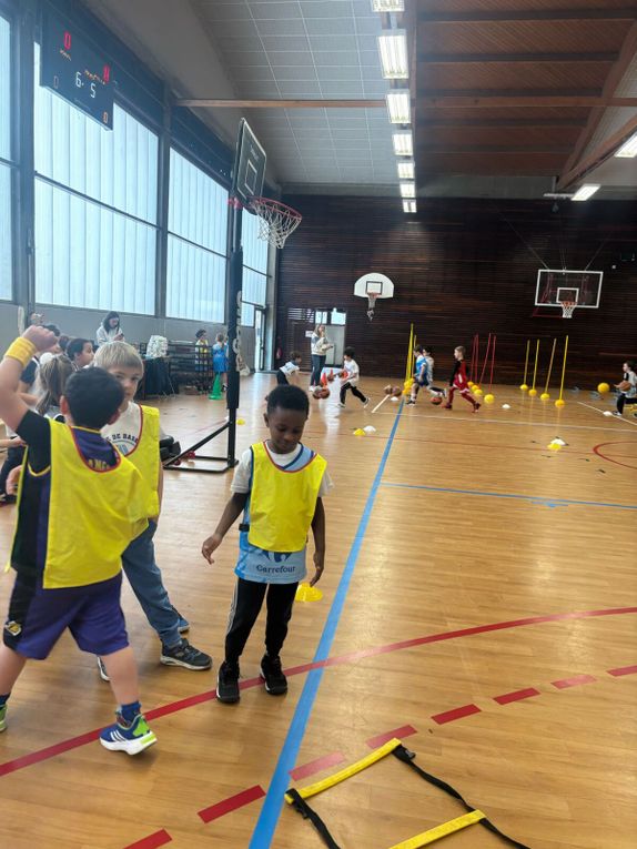 Les basketteurs font du ski