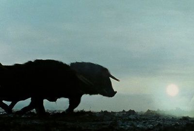 When it all goes quiet behind my eyes