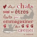 SAL ... lilipoints # les chats # informations